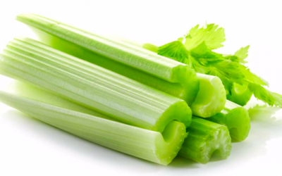 Scientific Study: Celery is a Cum Eater’s Friend!